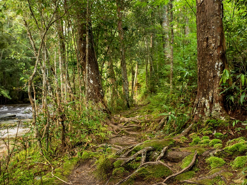 Öffnet die Seite 'Klimaschutz als Bildungsauftrag'